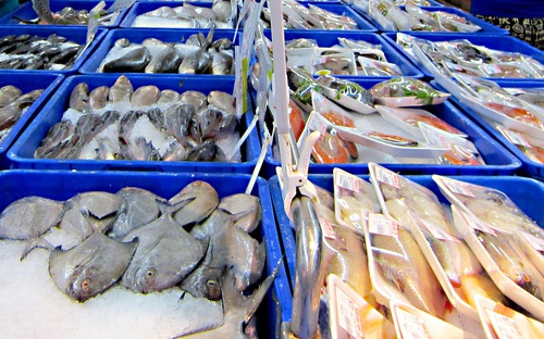 Sẽ xây dựng và phát triển một số thương hiệu thủy sản mạnh trước mắt là tôm, cá tra, nhuyễn thể, rô phi, cá ngừ đại dương.