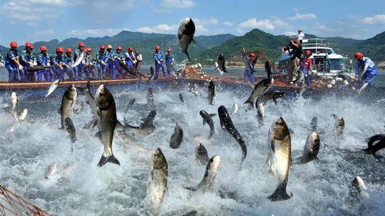 Cổ phiếu ACL đang được giao dịch ở mức 37.200 đồng/cổ phiếu.