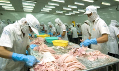 Xuất khẩu thuỷ sản có thể đạt 8 tỷ USD vào năm 2020