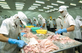 Vào năm 2020, dự báo kim ngạch xuất khẩu cá tra tiếp tục dẫn đầu và đạt mức 3,6 tỷ USD.