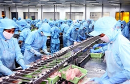 Theo kế hoạch đến năm 2020, kim ngạch xuất khẩu thủy sản sẽ đạt 10 tỷ USD.