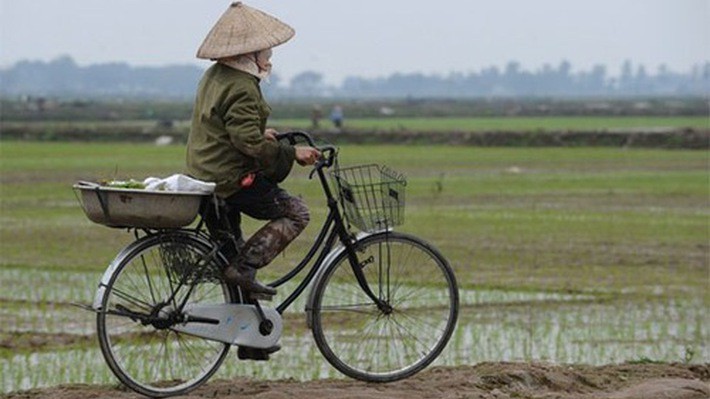 Phó thủ tướng đánh giá, quá trình tích tụ, tập trung đất đai còn diễn ra chậm, thị trường quyền sử dụng đất nông nghiệp hoạt động còn chưa đáp ứng được yêu cầu của thực tiễn, 