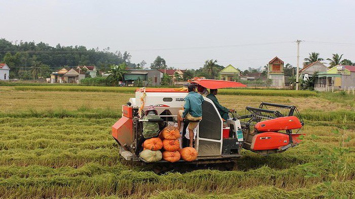 Bộ Nông nghiệp và phát triển nông thôn đánh giá, chính sách tạo thúc đẩy tích tụ, tập trung đất đai để sản xuất nông nghiệp hàng hóa tập trung, quy mô lớn chưa đủ mạnh