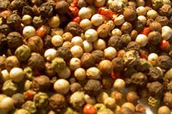 Giá hồ tiêu trong nước đang ở mức rất cao.