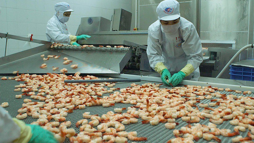 Tôm Việt Nam xuất sang Hàn Quốc nhận tín hiệu tốt từ VKFTA.