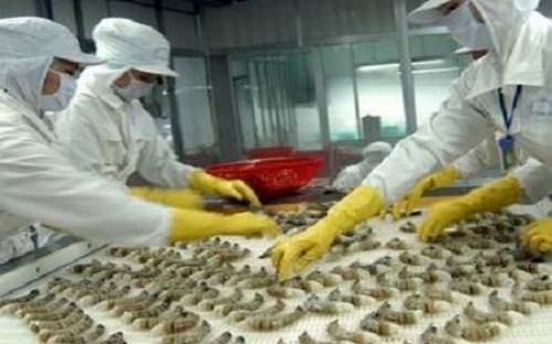 VASEP cho rằng, quyết định khởi xướng điều tra vụ kiện tôm nước ấm từ Việt Nam của Bộ Thương mại Hoa Kỳ là một quyết định không công bằng, là biện pháp đánh thuế hai lần và gây ảnh hưởng rất lớn tới đời sống của hơn 600 ngàn nông dân, người làm chế biến tôm Việt Nam.
