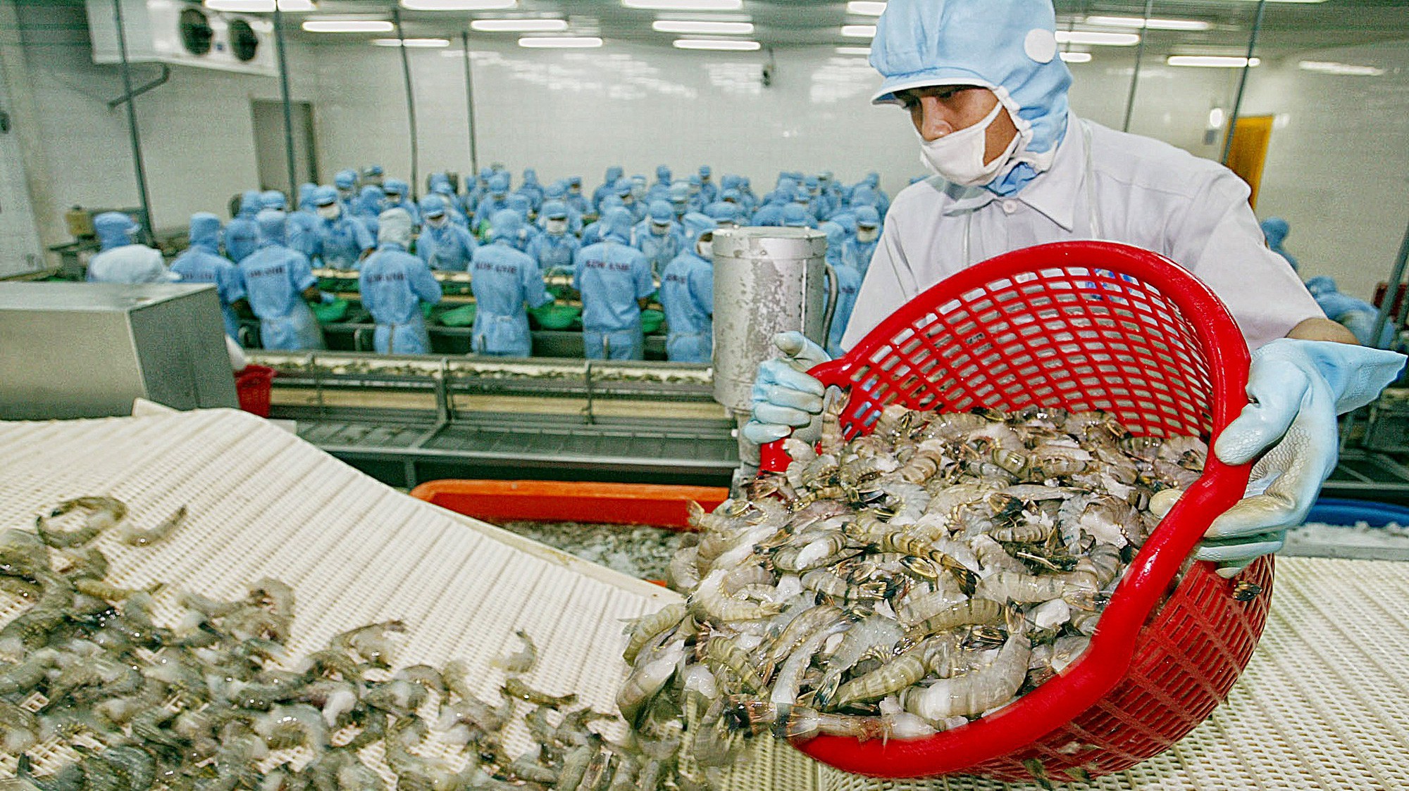 Thị phần tôm của Việt Nam tại Mỹ giảm 1,2%, xuống còn 6,8% trong 3 tháng đầu năm nay