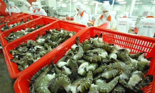 Xuất khẩu thủy sản 2010 có thể vượt 4,8 tỷ USD