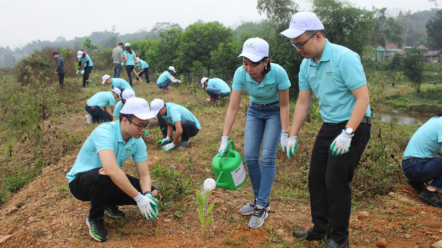 Các Bộ, ngành, địa phương có kế hoạch thực hiện Chương trình trồng 1 tỷ cây thành phong trào thi đua của mọi cấp, mọi ngành, trong từng khu dân cư.
