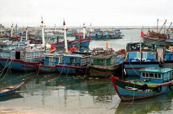 Di chuyển tầu về nơi tránh, trú bão an toàn.