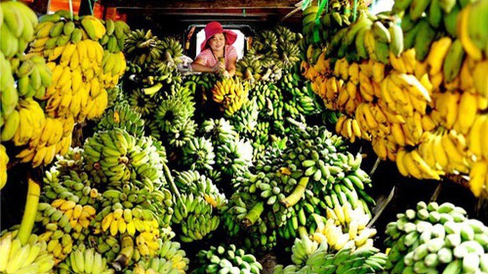 Xuất khẩu rau quả sang Trung Quốc trong 8 tháng đầu năm 2018 đạt gần 2 tỷ USD, tăng 11,6% về giá trị so với cùng kỳ năm 2017. 