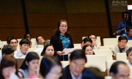 Túi tiền quốc gia và nhiệm kỳ Quốc hội