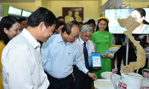 Thủ tướng: “Không chủ trương lấy đất lúa làm sân golf”