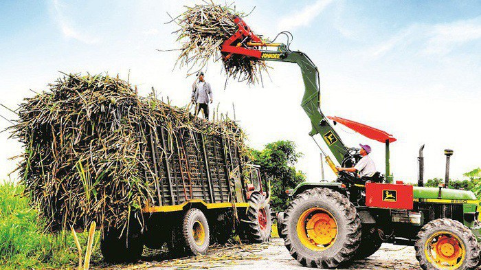 Năm 2018 -2019 TTC Sugar dự kiến chia cổ tức 5%