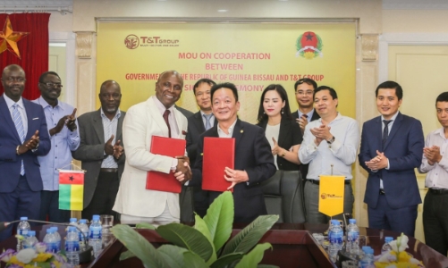 T&T Group dự kiến mua toàn bộ điều thô của Guinea Bissau   