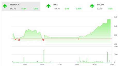 BVSC cho rằng, mức độ phân hóa sâu sắc đang khiến cho mức tăng của chỉ số VnIndex đôi khi không trùng khớp với mức lãi/lỗ của từng danh mục cụ thể.