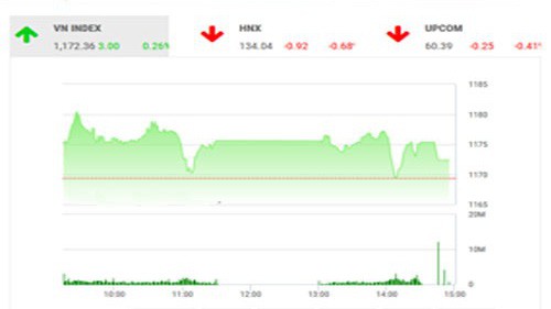 BSC nhận định, sự phân hóa trên thị trường đang tiểm ẩn nhiều rủi ro với trạng thái “xanh vỏ đỏ lòng” tiếp tục kéo dài. 
