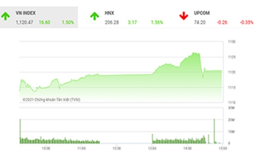 Chưa đến lúc tạm dừng cuộc vui!
