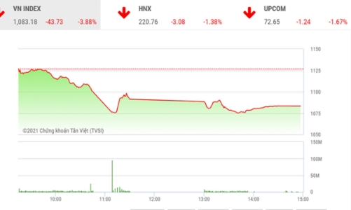 Tạm thời nên ngừng bán tháo và cũng không nên dùng đòn bẩy