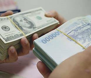 Ủy ban Kinh tế nhận định, năm 2009, thị trường ngoại hối có biểu hiện căng thẳng về cung - cầu ngoại tệ, gây sức ép lên tỷ giá.