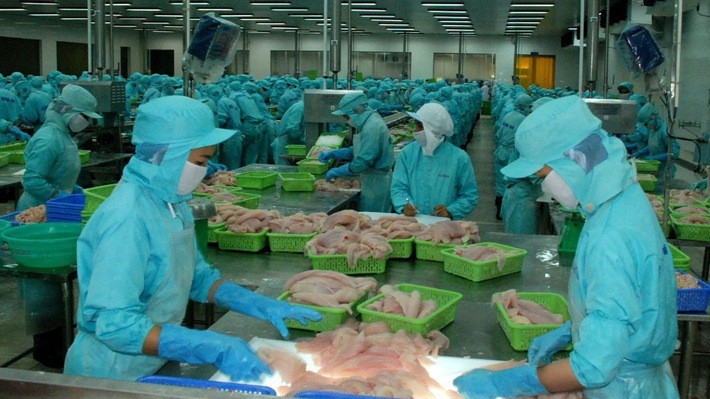 Thủ tướng yêu cầu thường xuyên tổ chức rà soát, loại bỏ các sản phẩm thủy sản kém chất lượng, không an toàn ra khỏi Danh mục các sản phẩm được phép lưu hành.