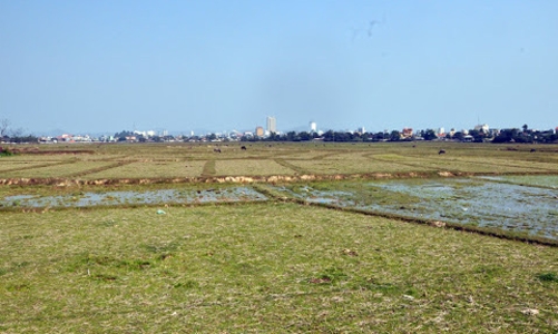 Chấm dứt tình trạng bỏ hoang đất nông nghiệp