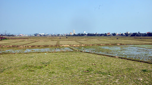 Chính phủ sẽ hoàn thiện cơ chế, chính sách đất đai, đầu tư, tài chính, tín dụng, thương mại hỗ trợ thỏa đáng cho nông dân, địa phương và doanh nghiệp sản xuất kinh doanh lúa gạo.