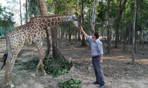 Vingroup: Thông tin “hàng ngàn động vật chết” sai sự thật