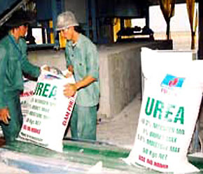 Theo dự báo của Hiệp hội, giá phân bón trong tháng 4 sẽ tương đối ổn định.