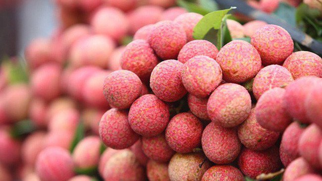 Bắc Giang sẽ duy trì thị trường ở 30 nước vải thiều đang có mặt như Mỹ, Úc, EU, Nhật Bản, Malaysia, Singapore, đặc biệt tập trung cao vào thị trường Trung Quốc.