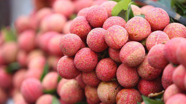 Tổng giá trị thu từ vải thiều và các hoạt động dịch vụ phụ trợ của tỉnh Bắc Giang ước đạt 5.467 tỷ đồng.