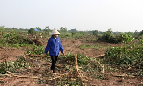 Chính phủ sẽ có hướng dẫn cụ thể về cưỡng chế, thu hồi đất