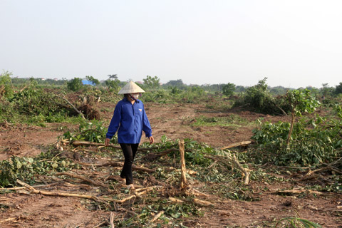 Tiếp sau vụ Tiên Lãng, vụ cưỡng chế đất đai tại Văn Giang, Hưng Yên lại gây nhiều ý kiến trái chiều trong dư luận.