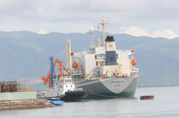 Năm 2009, tổng sản lượng hàng hoá vận tải biển của các doanh nghiệp đạt xấp xỉ 80 triệu tấn - Ảnh: Việt Tuấn.