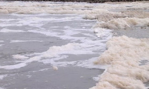 Vedan bồi thường người dân Đồng Nai 119 tỷ đồng