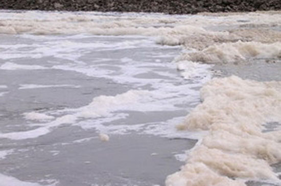 Ô nhiễm nghiêm trọng ngay cửa xả của Vedan Việt Nam.