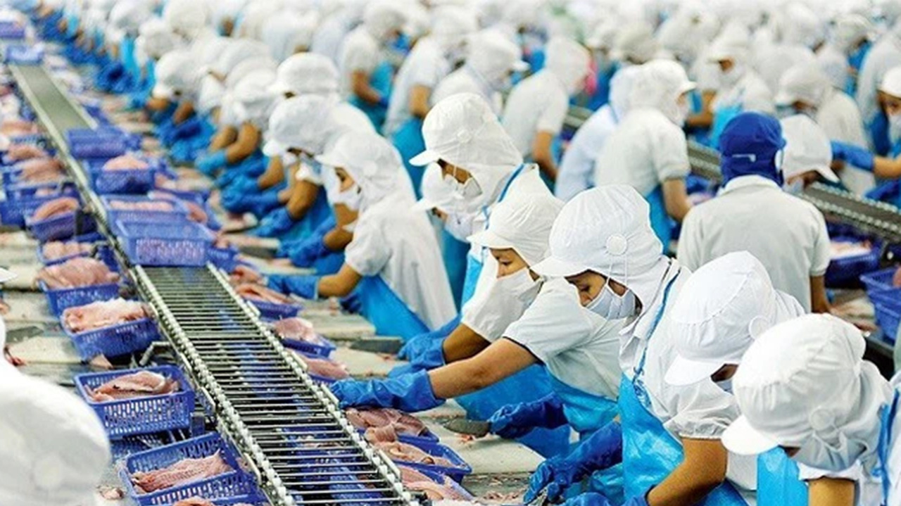 Tính tới hết năm 2020, Vĩnh Hoàn có 5 công ty con đều liên quan tới ngành thuỷ sản gồm sản xuất giống cá tra, thức ăn thuỷ sản, chiết xuất và sản xuất gelatin, collagen và 01 công ty liên kết trong lĩnh vực sản xuất phân bón.