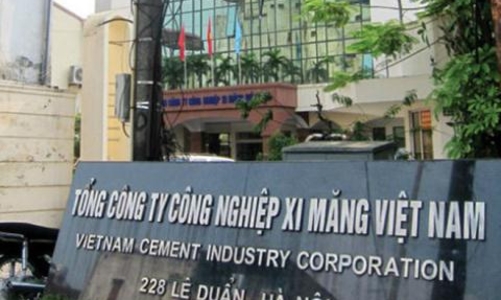 Vicem bổ nhiệm Tổng giám đốc mới