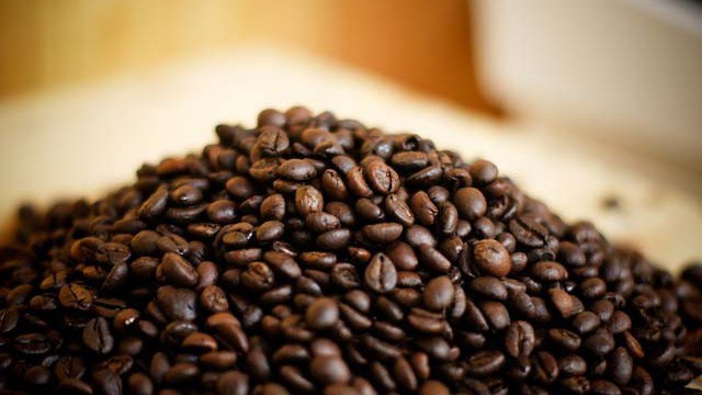 Tổng kinh phí thực hiện đề án này khoảng 170 tỷ đồng, trong đó, ngân sách nhà nước là 110 tỷ đồng; vốn từ các DN, nông dân, vốn vay tín dụng là 60 tỷ đồng.