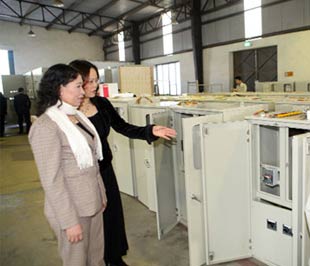 Thiết bị điện đã trở thành các sản phẩm chủ đạo và là thế mạnh của Việt Á.