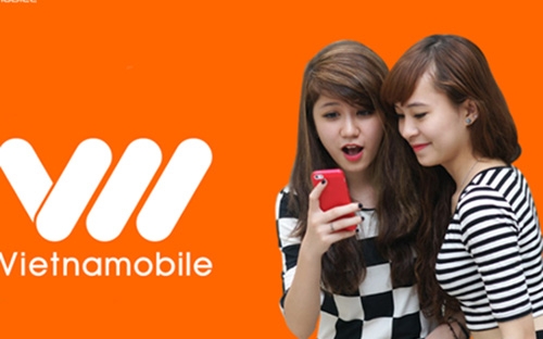 Theo số liệu của Bộ Thông tin và Truyền thông, năm 2015, số thuê bao di động 2G và 3G của Vietnamobile ước đạt gần 11 triệu thuê bao.
