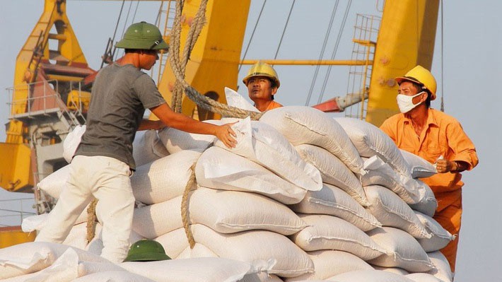 Theo kế hoạch cổ phần hóa, Vinafood II sẽ có vốn điều lệ 5.000 tỷ đồng. Về cơ cấu vốn điều lệ, Nhà nước nắm 255 triệu cổ phần, chiếm 51,00% vốn điều lệ. 