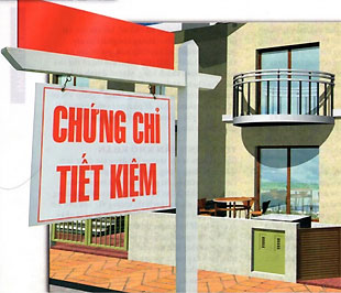 Vinaland cam kết sẽ sửa tên gọi của chứng chỉ quỹ tiết kiệm nhà ở để tránh gây nhầm lẫn, sửa đổi hợp đồng vay tiền và quy chế theo ý kiến của thanh tra, bổ sung quy trình phát hành và quản lý.