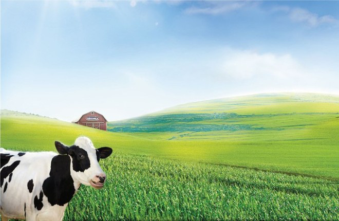 SCIC đã không thể bán hết cổ phiếu trong phiên đấu giá.