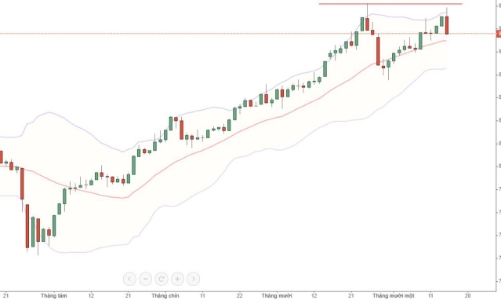 Blog chứng khoán: Bull-trap to