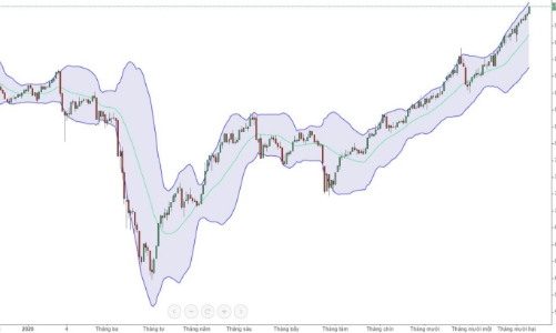 Blog chứng khoán: Cơn say ngút trời