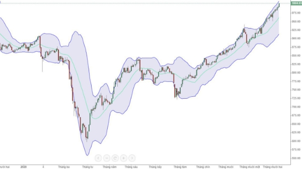 Blog chứng khoán: Cơn say ngút trời