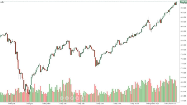 Blog chứng khoán: Đóng đinh cách nghĩ