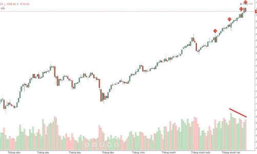 Blog chứng khoán: Chai sạn tâm lý cũng có thể là cái bẫy