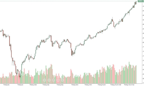 Blog chứng khoán: Giảm là để tăng, F1 sẽ đáo hạn tại đỉnh